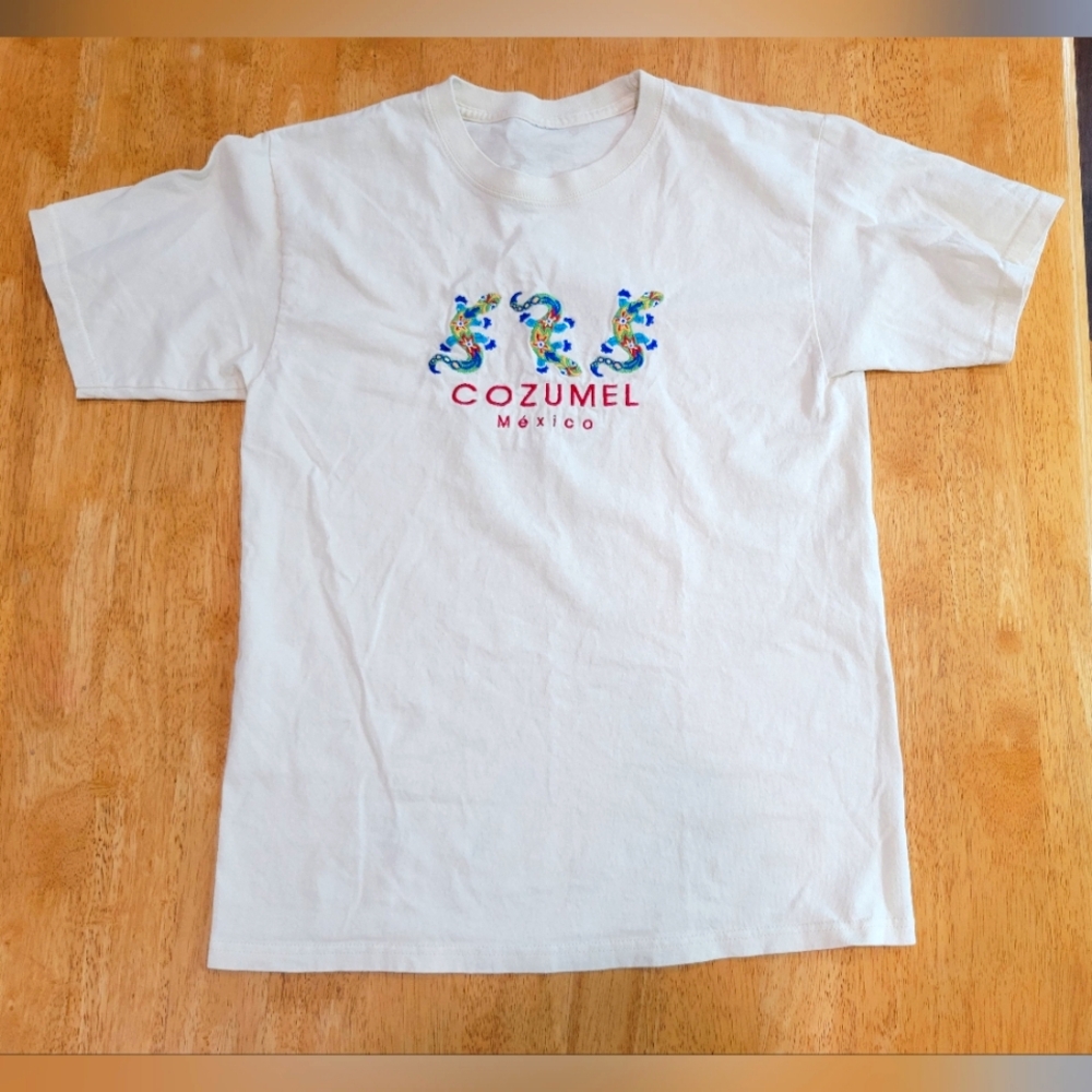 VINTAGE embroidered Cozumel Mexico tee shirt top